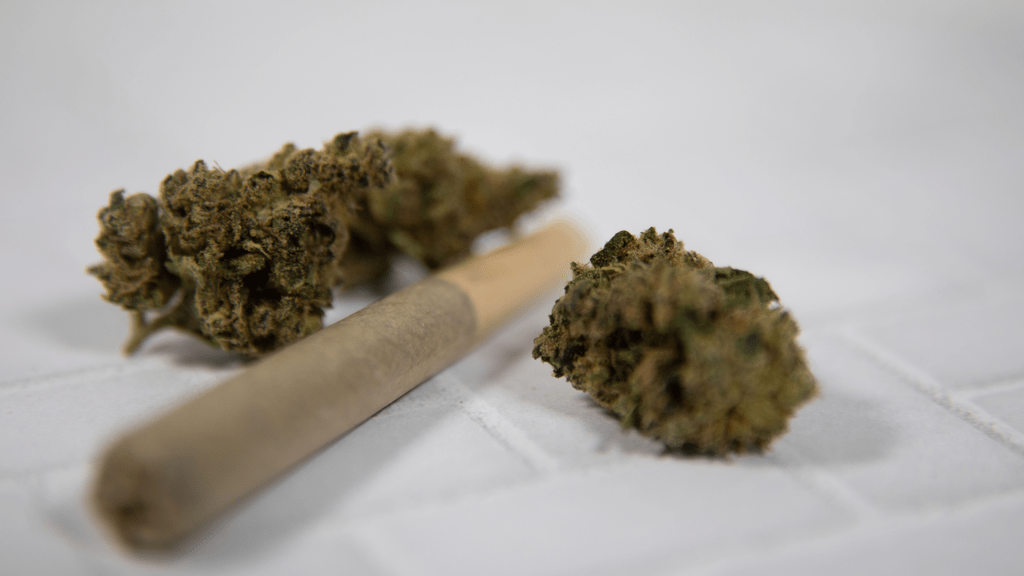 What Makes a Good Cannabis Rewards Program?